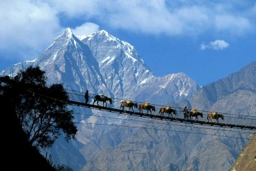 Энтомологические экспедиции в Непал