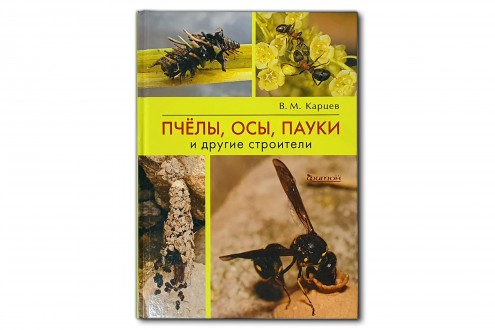 Пчелы, осы, пауки и другие строители - Карцев В.М.