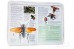 Insects. Spiders and Other Terrestrial Arthropods - George C. McGavin