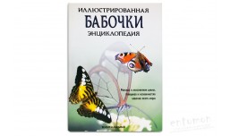 Бабочки. Иллюстрированная энциклопедия - Вейбрен Ландман