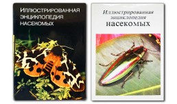 Иллюстрированная энциклопедия насекомых - Станек В.Я.