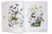 600 Butterflies & Moths in Full Color - W.F. Kirby