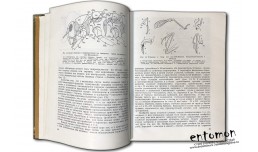 Общая энтомология. Издание третье, дополненое - Бей-Биенко Г.Я.