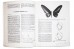 A Monograph of the Birdwing Butterflies. Vol. 2, part 1. Trogonoptera & Ripponia - Haugum J.