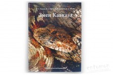 Змеи Кавказа: таксономическое разнообразие, распространение, охрана - Туниев Б.С. и др.