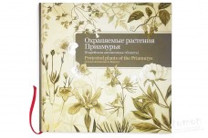 Охраняемые растения Приамурья - Рубцова Т.А., Фетисов Д.М.