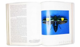 An Inordinate Fondness for Beetles - Avans Arthur V., Bellamy Charles L.