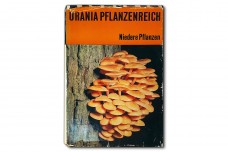 Urania Pflanzenreich. Niedere Pflanzen - Erich Heinz