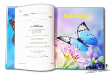 Бабочки. Детская энциклопедия - Феданова Ю. В., Скиба Т. В.