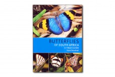 Butterflies of South Africa. A Fild Guide - Steve Woodhall