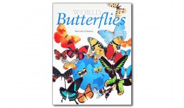 World butterflies - Bernard d'Abrera