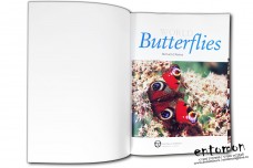 World butterflies - Bernard d'Abrera