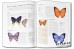 The world encyclopedia of Butterflies & Months - Sally Morgan
