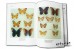 Butterflies in Thailand. Vol. 6. Satyridae, Libytheidae, Riodinidae - Eliot J.N.