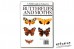 A Field Guide in Colour Butterflies and Moths - Ivo Novak