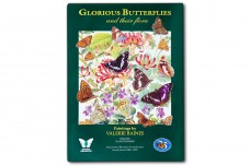 Glorious Butterflies and their flora - Valerie Baines