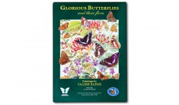 Glorious Butterflies and their flora - Valerie Baines