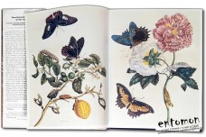 Swallowtail Butterflies of the Americas - Hamilton A. Tyler Keith S. Brown, Jr. Kent H. Wilson