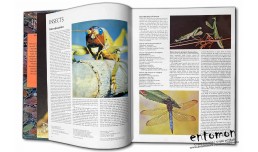 Encyclopedia of insects & arachnids - Maurice Burton, Robert Burton