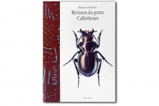 Révision du genre Callisthenes. Vol. 6 - Dmitry Obydov
