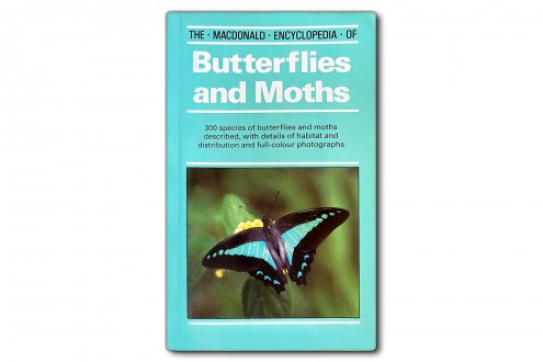 The Macdonald encyclopedia of butterflies and moths - Mauro Daccordi, Paolo Triberti