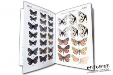 Helios: Collection of Lepidopterological Articles Vol. IV - Sergei Churkin