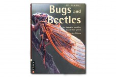 Bugs and Beetles. Apple identifier - Ken Preston-Mafham