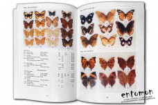 Illustrated Checklist of Nepal's Butterflies - Colin Smith
