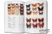 Illustrated Checklist of Nepal's Butterflies - Colin Smith