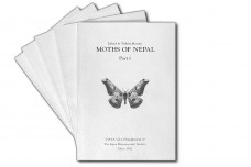 Moths of Nepal. Part 1-5 - Toshiro Haruta