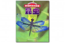 Insects - Yang Ding - 昆虫