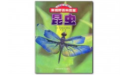 Insects - Yang Ding - 昆虫