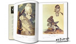 The Bible of Birds - John James Audubon