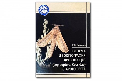 Система и зоогеография древоточцев (Lepidoptera: Cossidae) Старого Света - Яковлев Р.В.