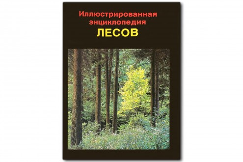 Иллюстрированная энциклопедия лесов - Ян Еник