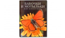 Бабочки и мотыльки. Мир животных - Пол Стерри