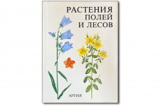 Растения полей и лесов - Вацлав Веткивичка