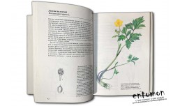 Растения полей и лесов - Вацлав Веткивичка