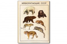 Млекопитающие СССР - Формозов А.Н.