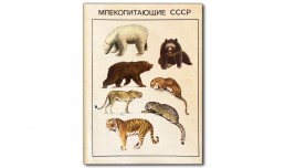 Млекопитающие СССР - Формозов А.Н.
