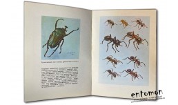 В стране насекомых - Гребенников В.С.