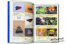 Guia de Fauna y Flora. Wildlife Field Guide - Joel Lode & Andres Soler Navarro