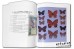 Butterflies of the Florida Keys - Marc C. Minno, Thomas C. Emmel