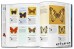 The Encyclopedia of Butterflies - John Feltwell