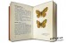Maly atlas motyli - Josef Moucha