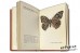 Maly atlas motyli - Josef Moucha