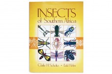 Insects of Southern Africa - Clarke H. Scholtz, Erik Holm