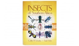 Insects of Southern Africa - Clarke H. Scholtz, Erik Holm