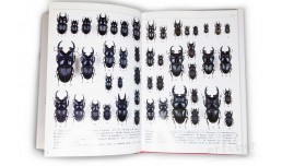 Stag Beetles II (Lucanidae). Vol. 5. Endless Collection Series - Tetsuo Mizunuma