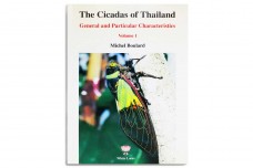 The Cicadas of Thailand - Michel Boulard